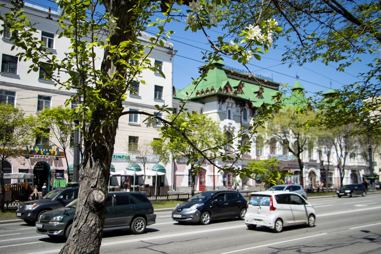 Май дарит Хабаровску в его день рождения тепло и солнце