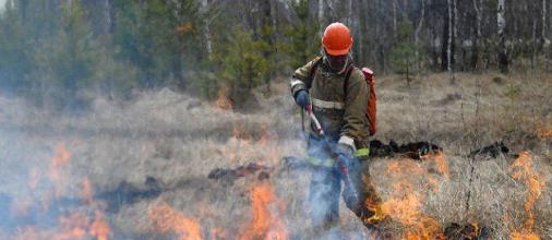 Первые лесные пожары тушат в Хабаровском крае
