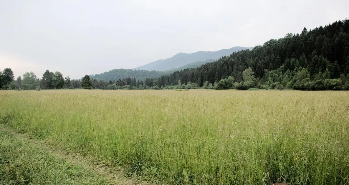 Участники СВО из Комсомольска-на-Амуре получают землю Участники СВО из Комсомольска-на-Амуре получают землю