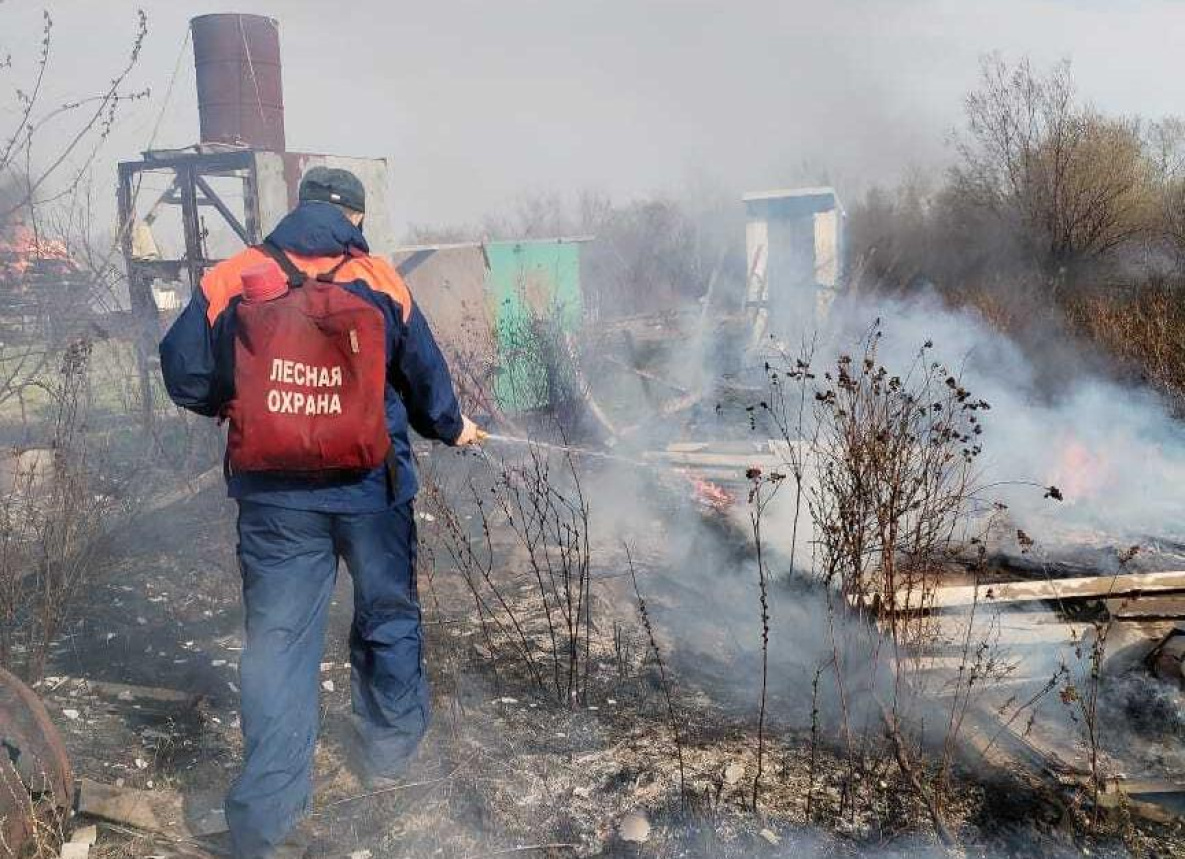 Пожар вблизи Комсомольска-на-Амуре уничтожил 12 дачных участков