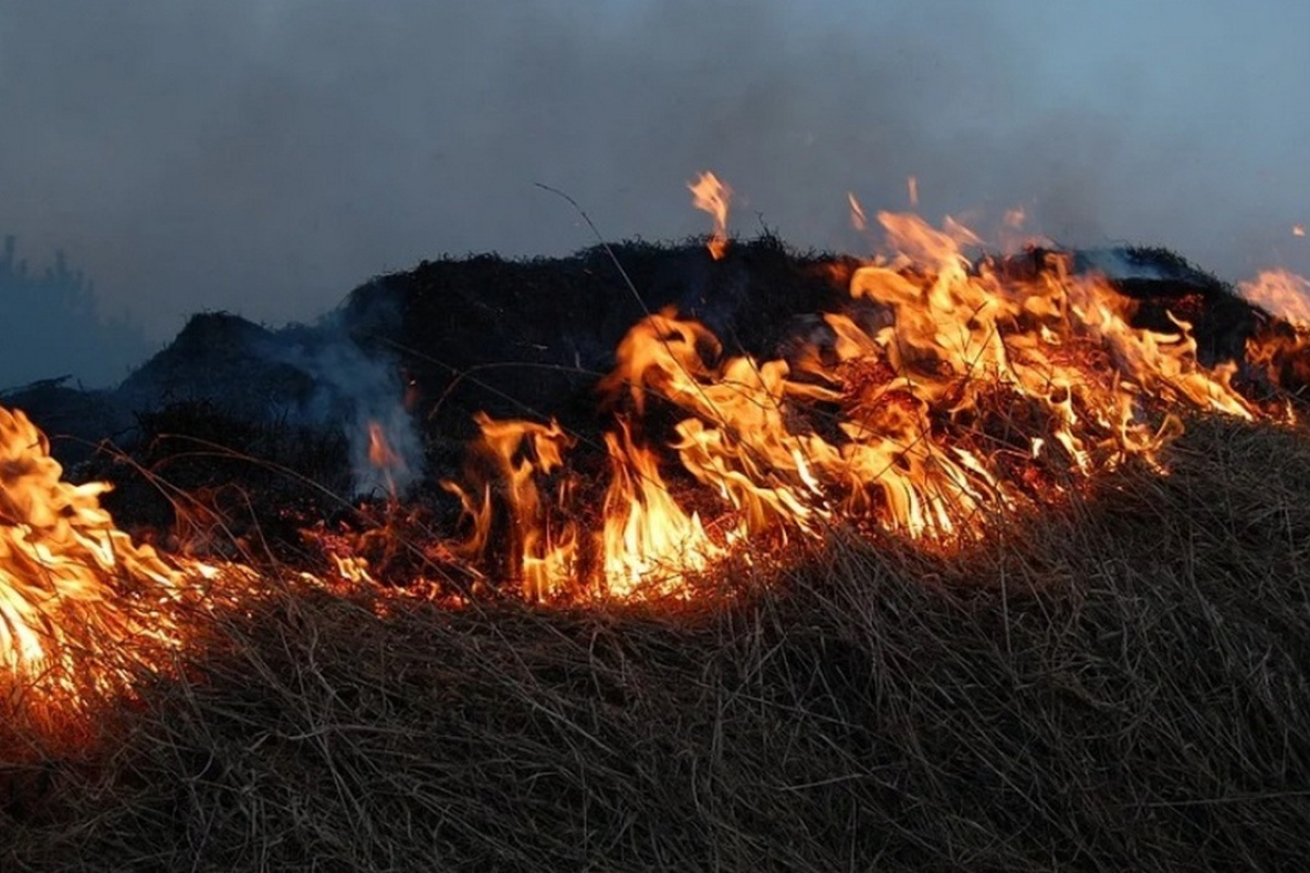 Лесной пожар угрожает Большехехцирскому заповеднику в Хабаровском крае