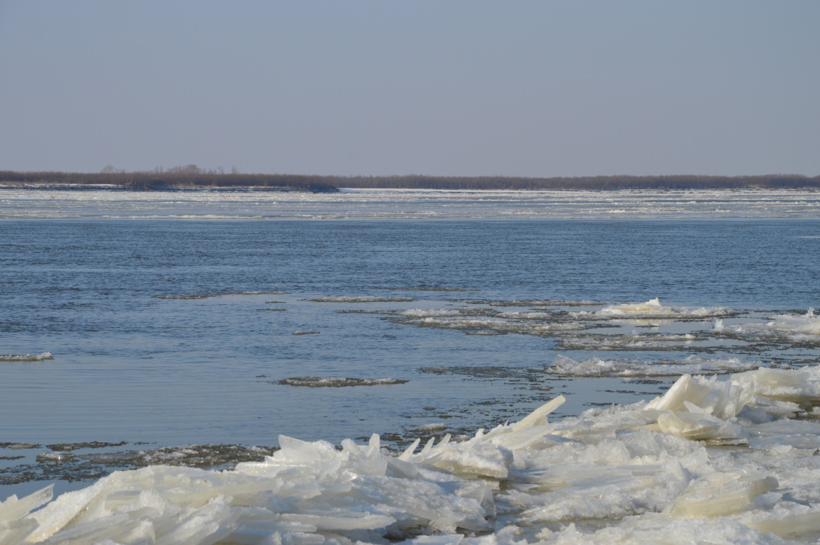 Синоптики назвали дату начала ледохода на Амуре  в районе Хабаровска  