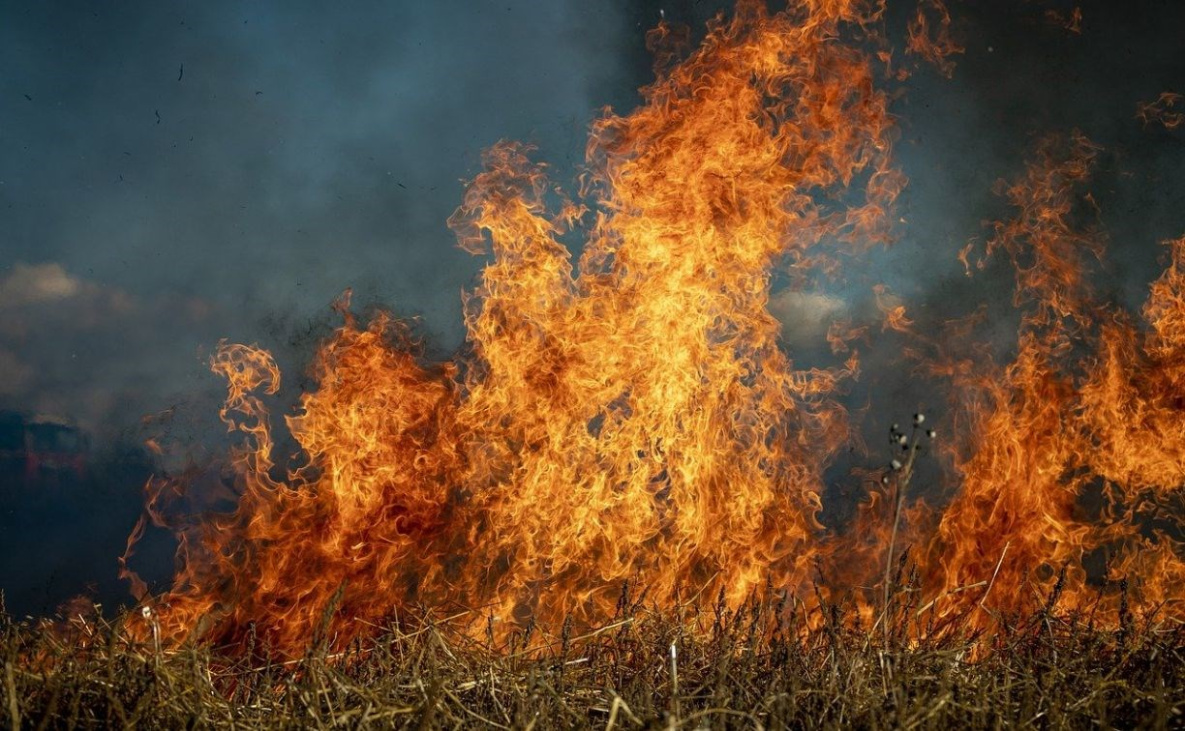 Природа помогла спасти от пожара заповедник в Хабаровском крае