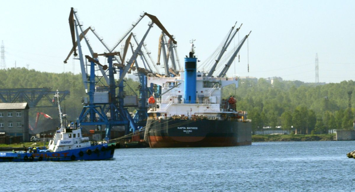 Торгпред России в КНР назвал самые удачные для экспорта товары