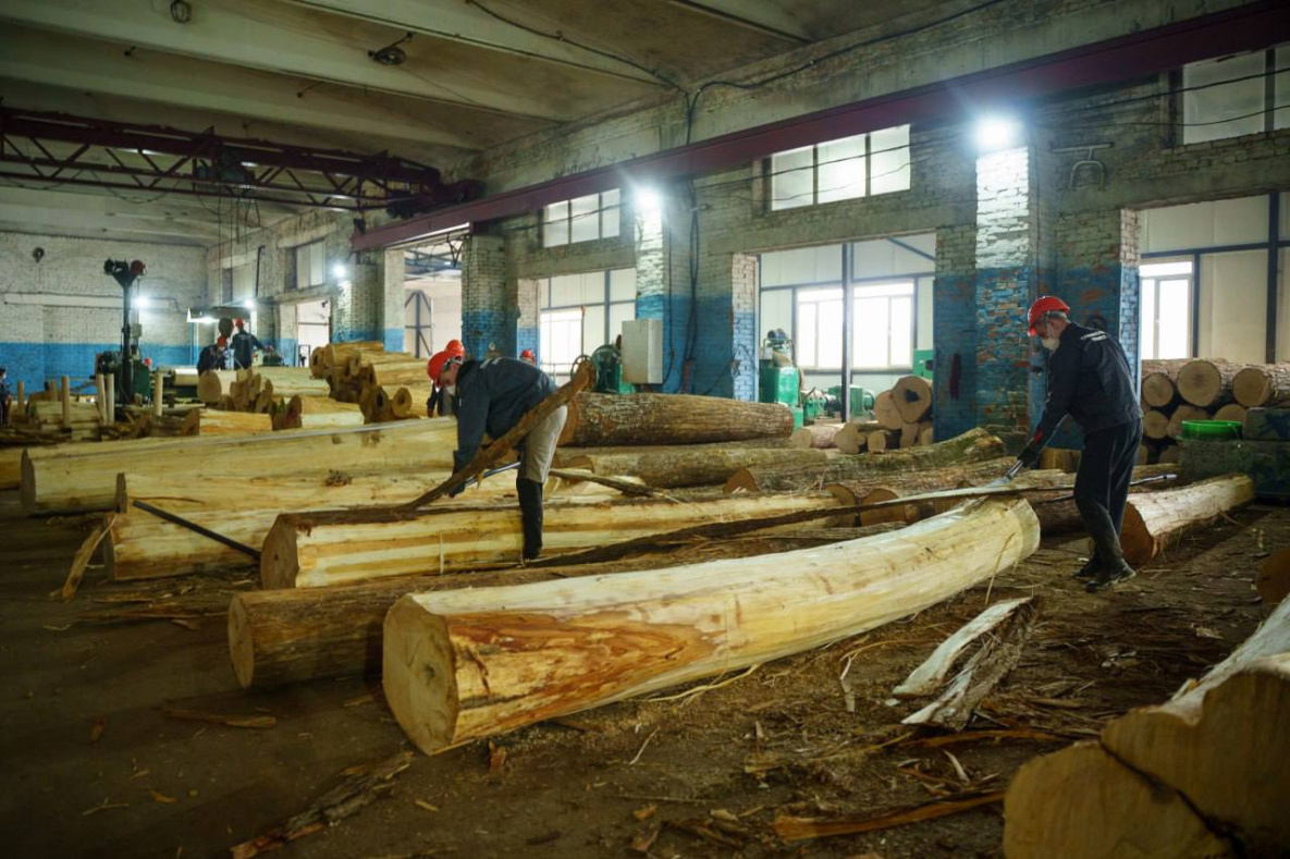Новый цех по производству фанеры запустят в Хабаровском крае