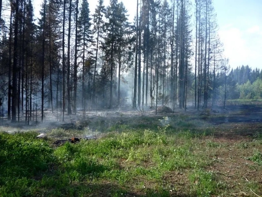 В Хабаровском крае за выходные потушили десять лесных пожаров