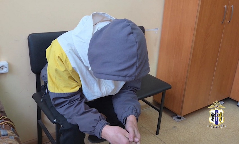 Хабаровчанина будут судить за кражу картины у уличного художника