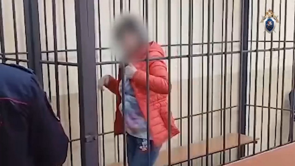 Суд Хабаровска арестовал местную жительницу за избиение 6-летней дочери