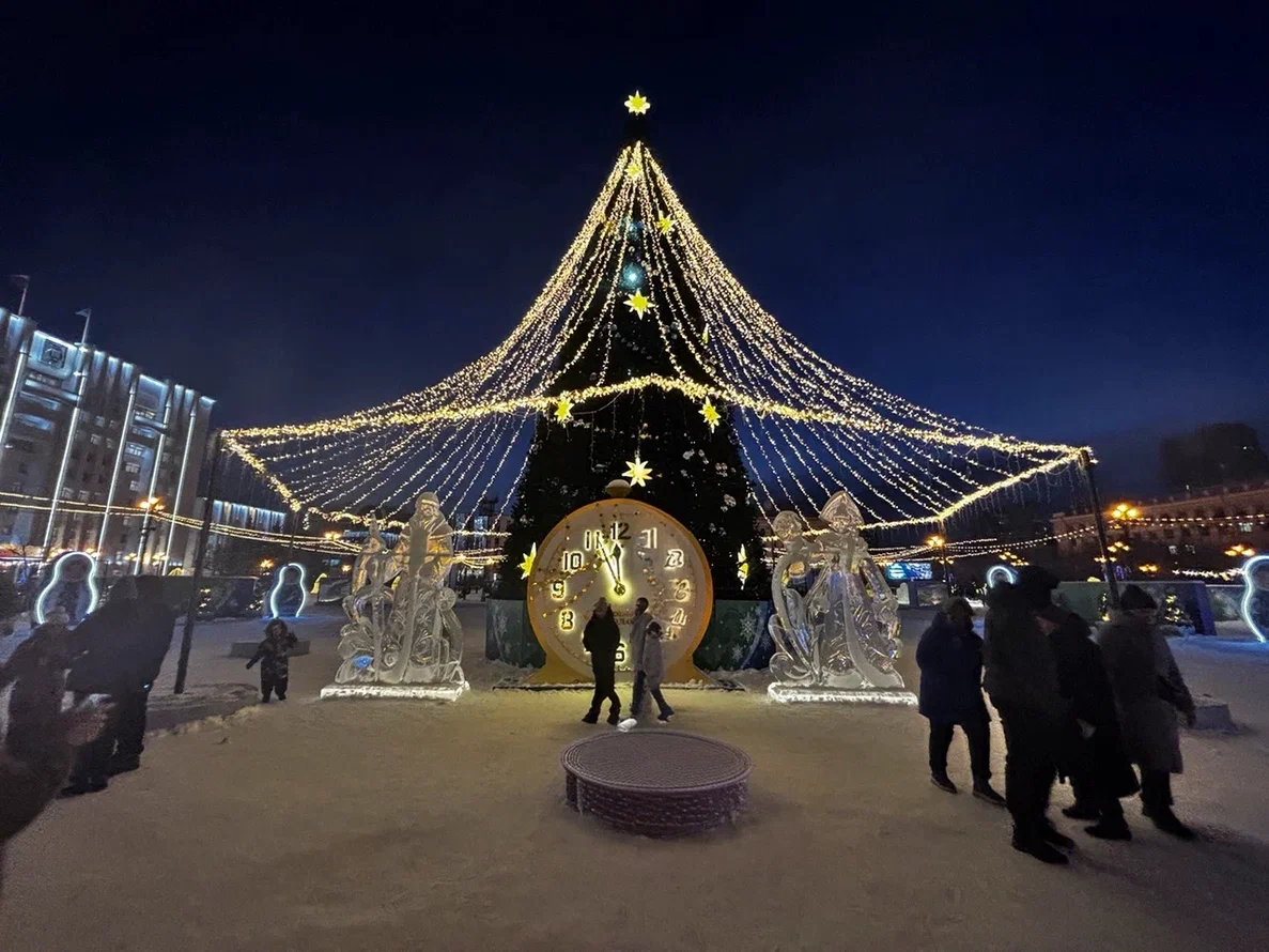 В первый рабочий день 2026 года Хабаровский край накроет снегом