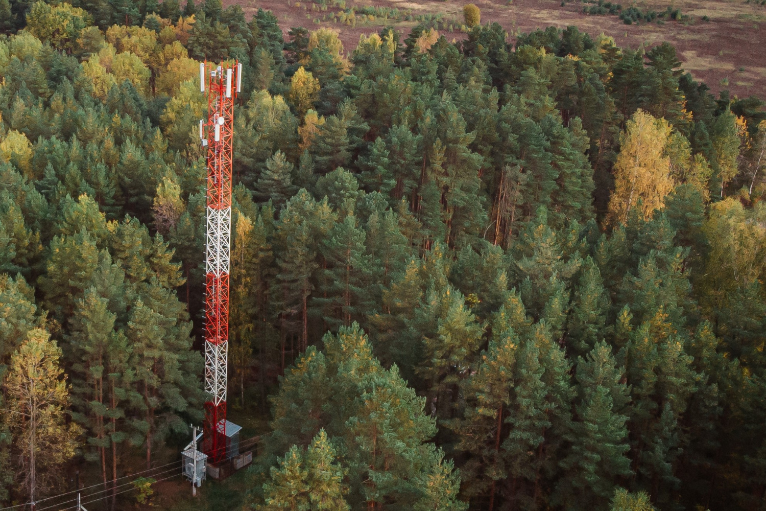 МегаФон включил 4G в небольшом селе Садовое Вяземского района