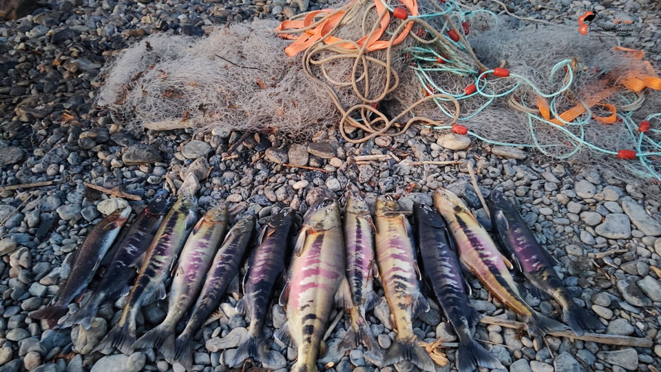 Браконьеров в заповеднике в Хабаровском крае нашли с помощью квадрокоптера