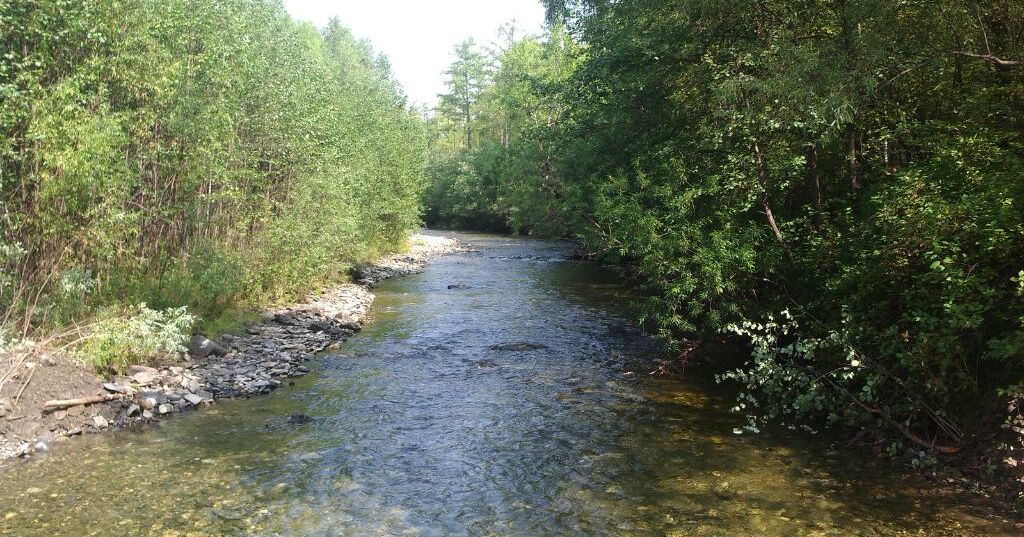 ВТБ и Фонд защитников природы создадут систему поддержки ООПТ