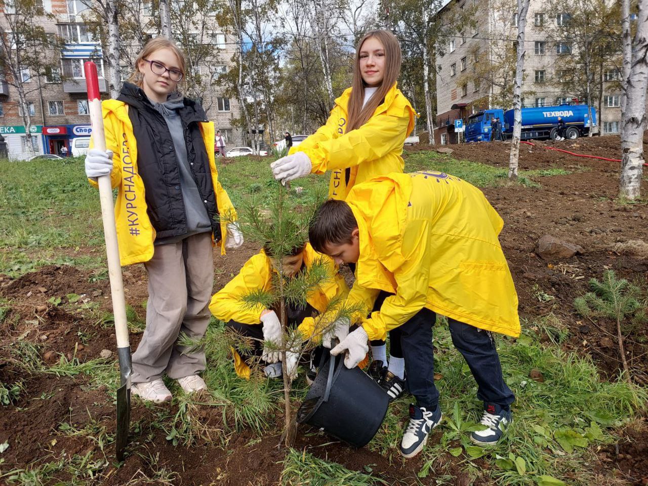 Молодёжь Ванинского района премируют за социальную активность