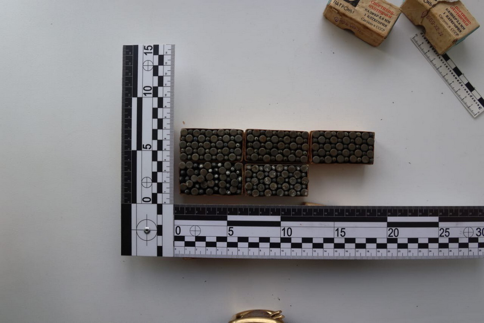 На вокзале Хабаровска в багаже пассажира нашли 300 патронов