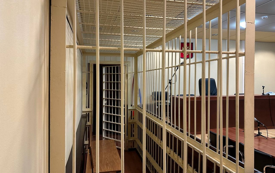 Наркозакладчик из Комсомольска-на-Амуре проведёт в колонии 11,5 лет