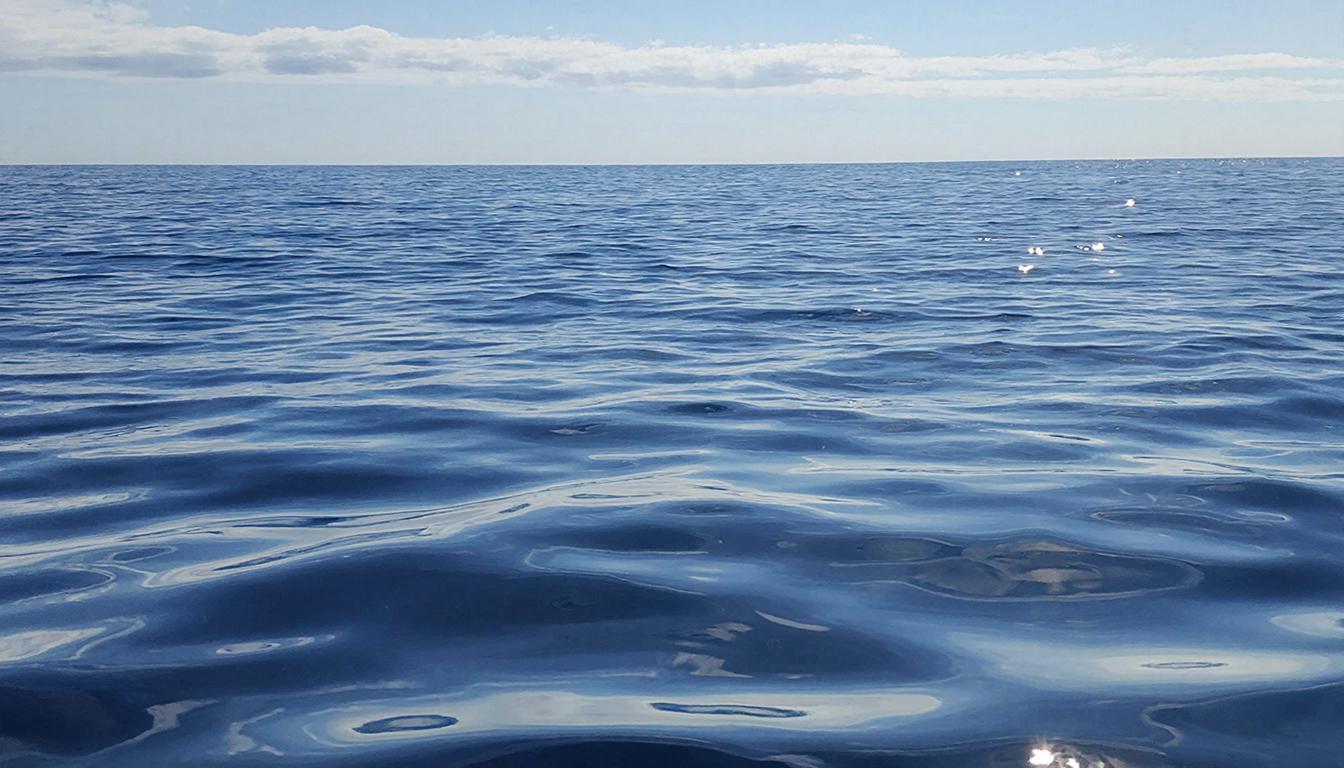 Организатор смертельного путешествия по Охотскому морю частично признал вину