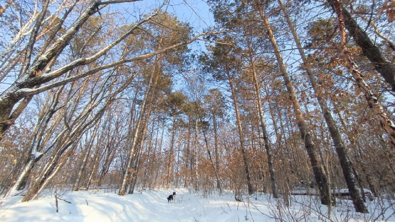 Температура в Хабаровске превысит норму на несколько градусов