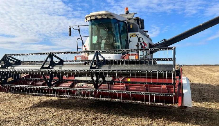 Картошки в Хабаровском крае вырастили на четверть больше, чем в прошлом году 