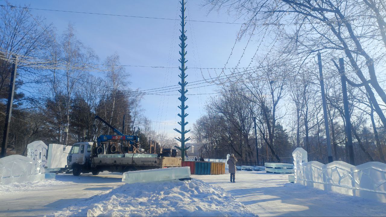 Новогоднюю ель в хабаровском парке «Динамо» создадут из 200 хвойных красавиц