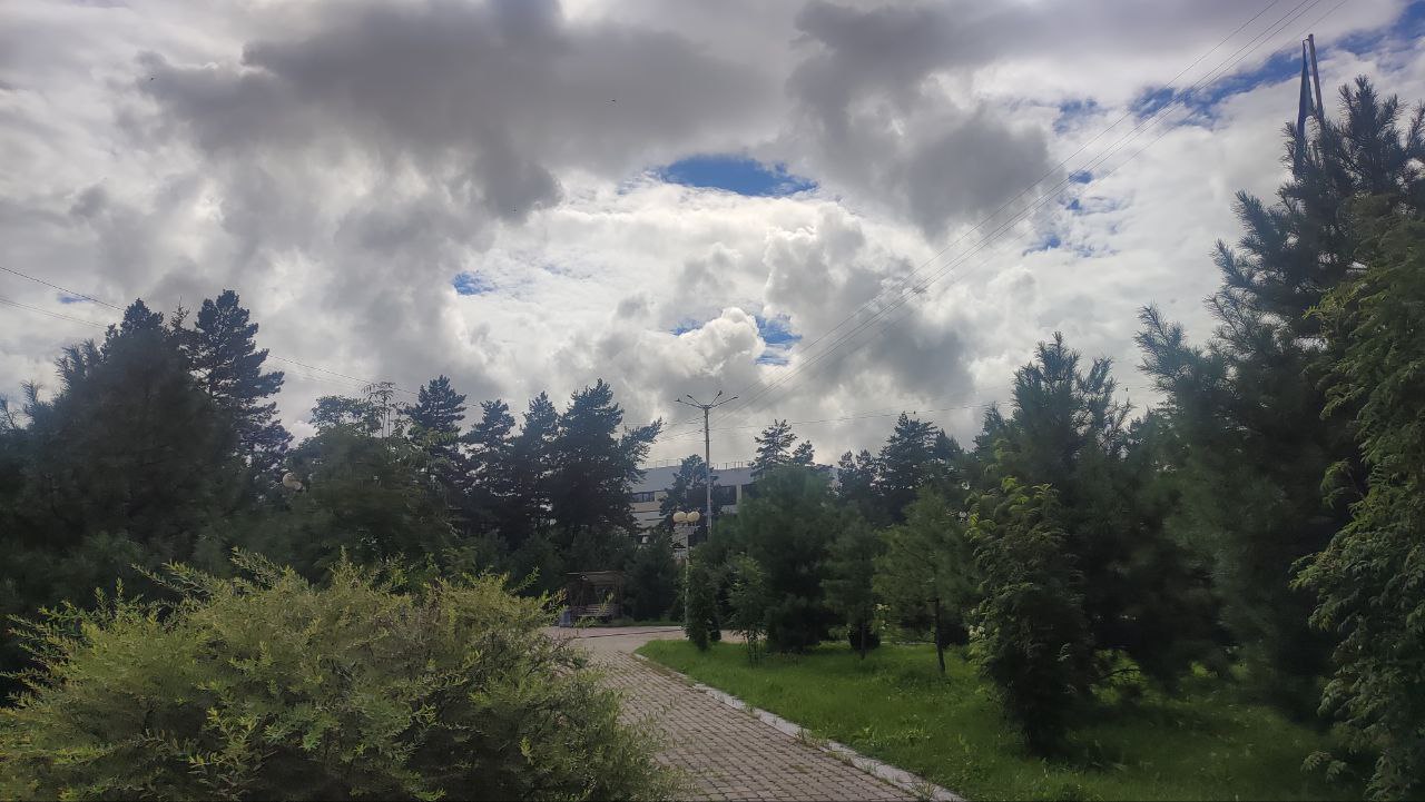 Тёплый и ясный августовский день ожидается 13 августа в Хабаровском крае