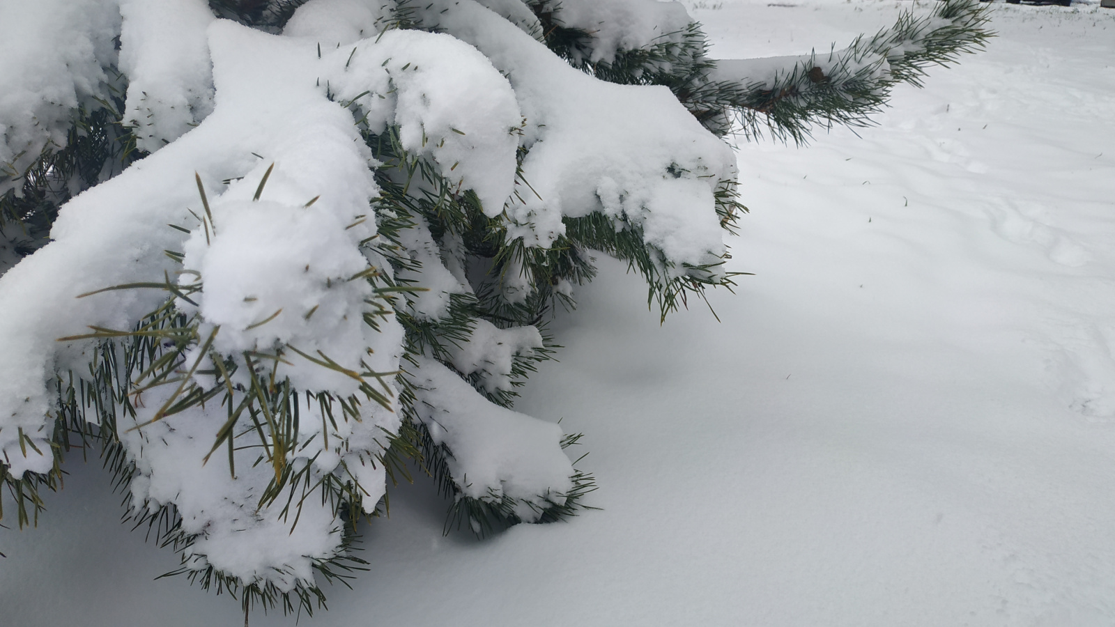 Снег пока никак не хочет покидать север Хабаровского края
