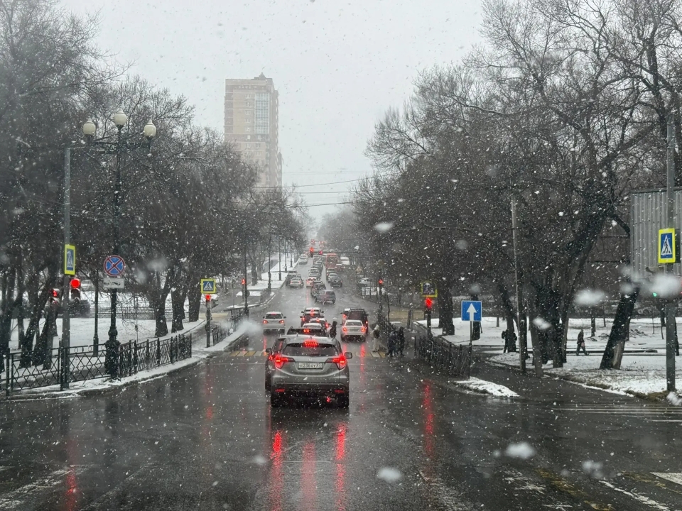 Порывы ветра в Хабаровске станут ещё сильнее и пройдёт мокрый снег