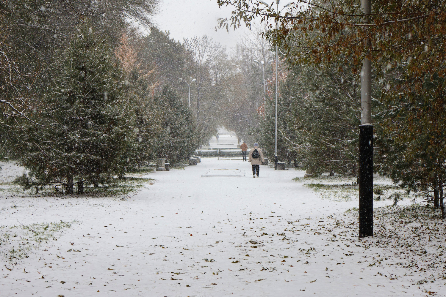 После безветренной субботы Хабаровский край накроет циклон
