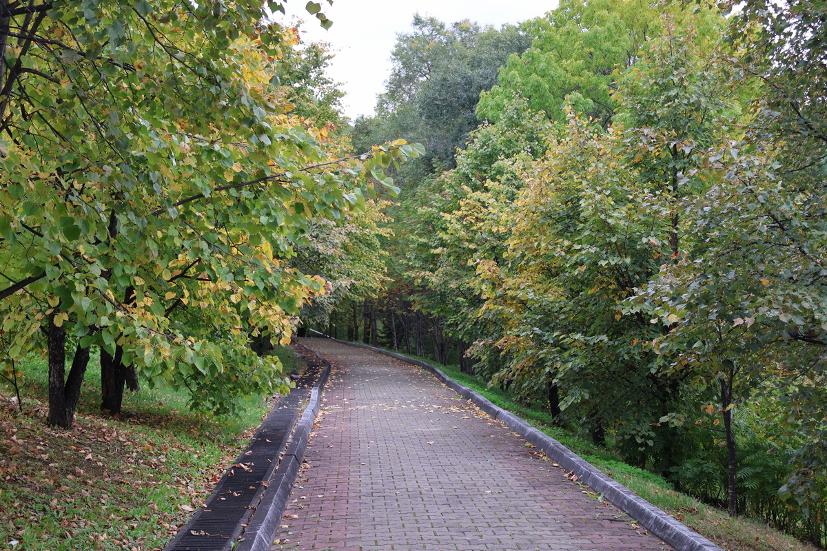 Провести спортивное утро приглашают хабаровчан в краевой парк