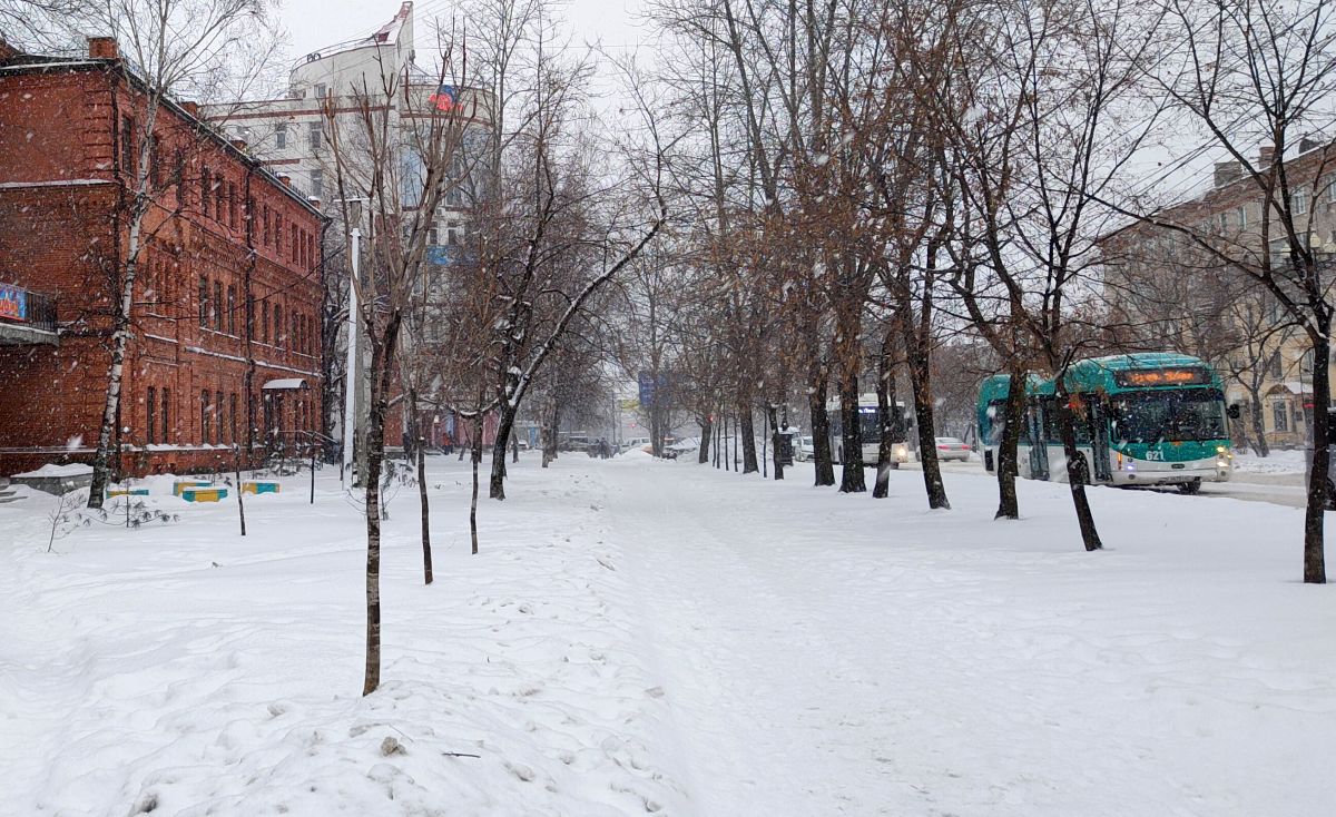 Пасмурный понедельник пообещали метеорологи Хабаровску