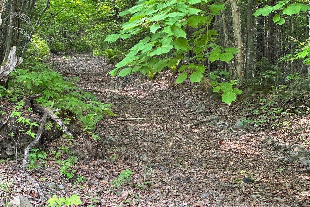В пригороде Хабаровска создают новую экотропу «Легенды Хехцира»