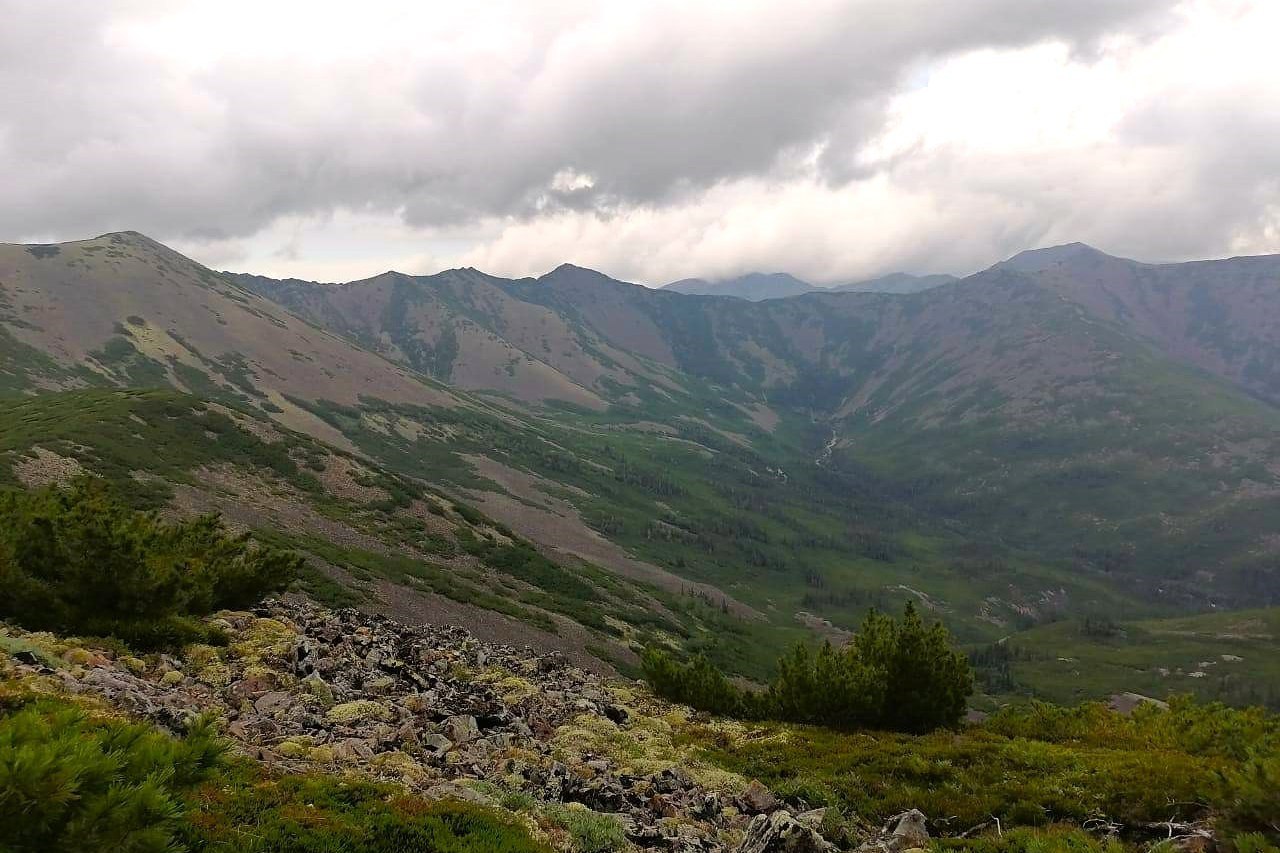 Геологи ведут оценку запасов месторождения вольфрама на севере Хабаровского края