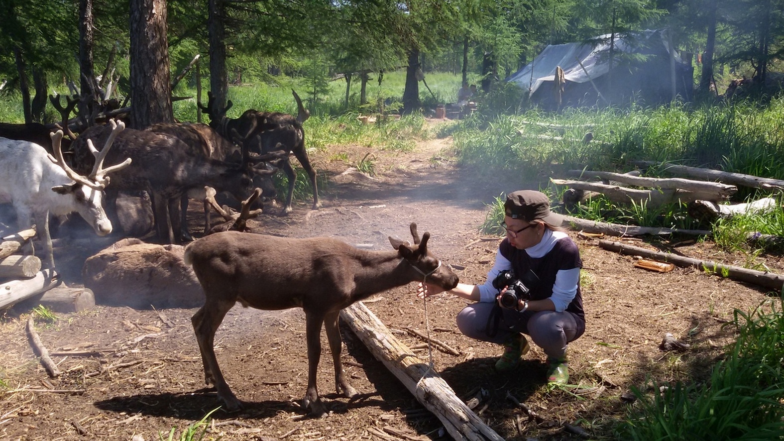 Чумработниц в Хабаровском крае трудоустроят официально
