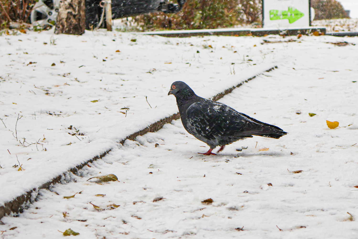 Тепло в очередной раз покидает Хабаровский край