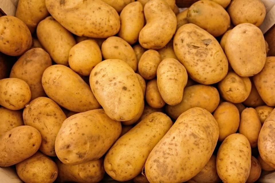 ФАС России оценит долю транспорта в цене продуктов 