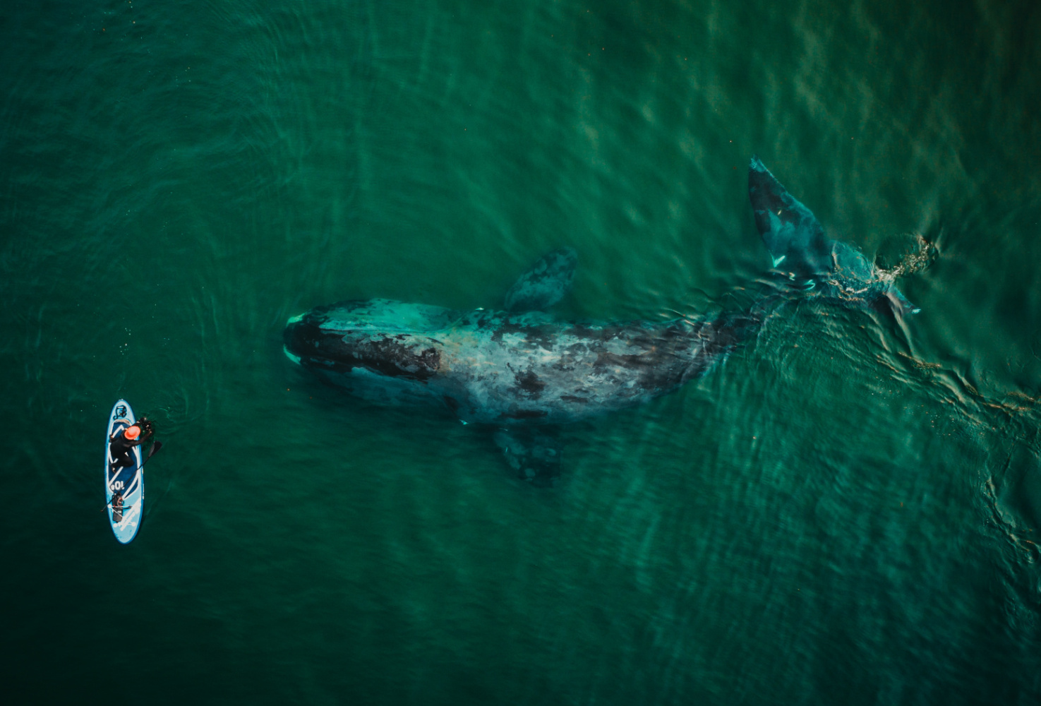 Жителям Хабаровского края предложили показать целой стране все красоты региона