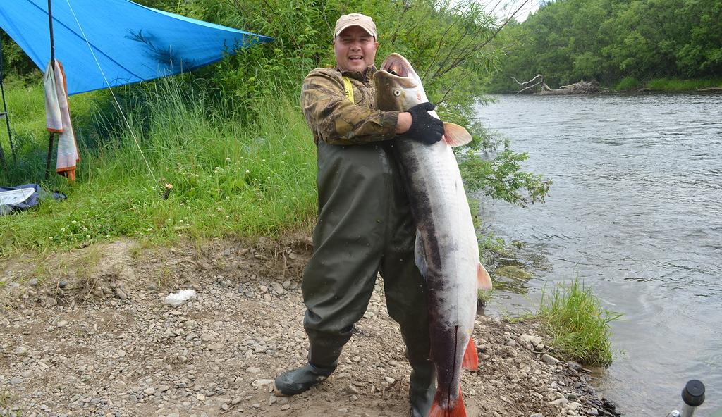 Рыбакам Хабаровского края в этом году разрешили ловить тайменей