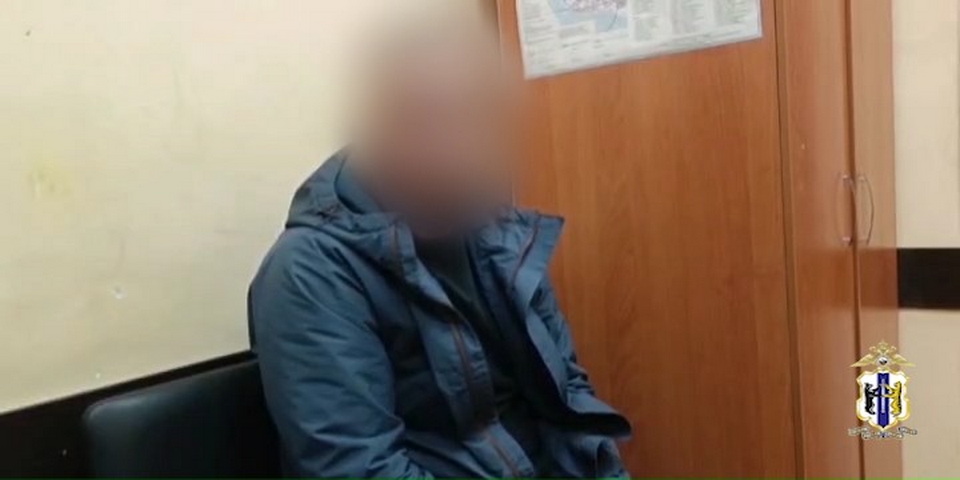 Компьютерный мошенник обманывал хабаровчан по объявлениям 