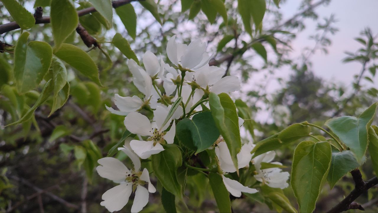 Прогноз на 14 мая: весенний «минус» сохраняется на севере Хабаровского края