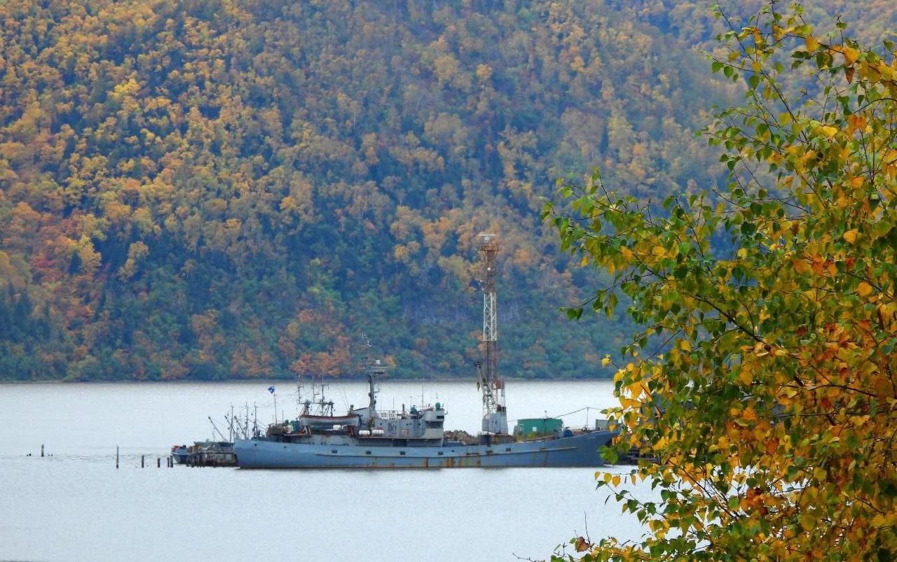 Осень на севере Хабаровского края рассыпает золотое и красное