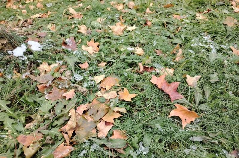 Слегка потеплеет в Хабаровском крае на этой неделе