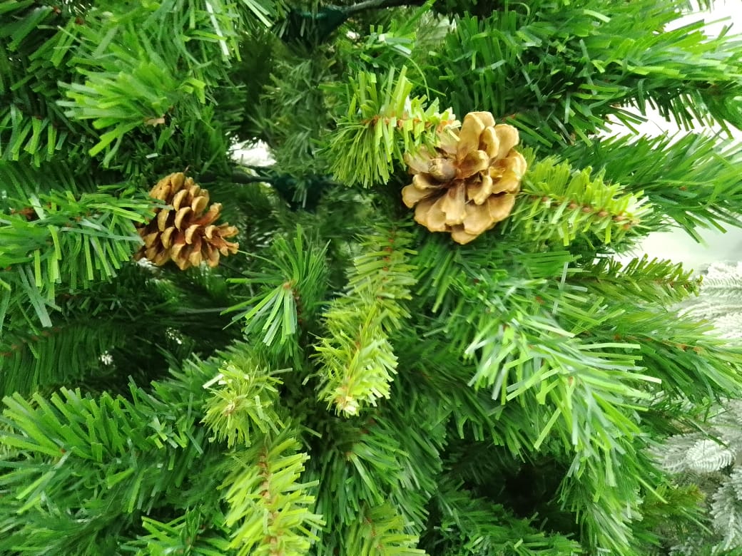 Что почём: выбираем в Хабаровске новогоднюю ель к Году Лошади