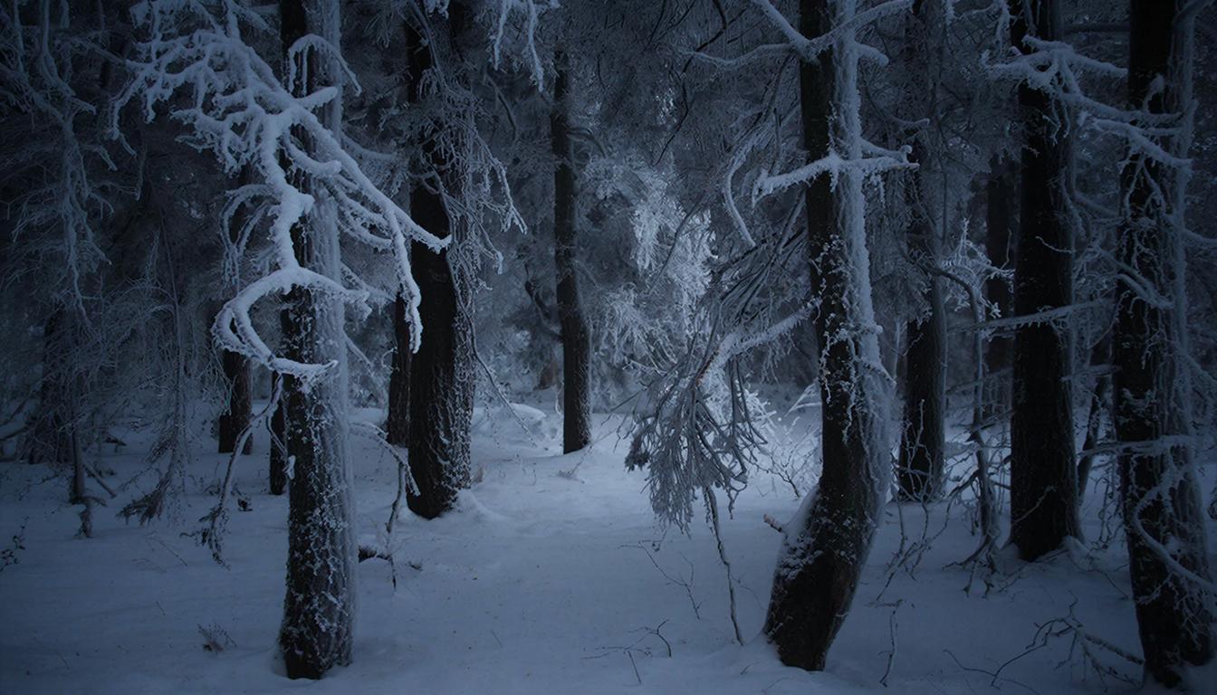 Народные приметы на 17 февраля: сегодня опасно ходить в лес