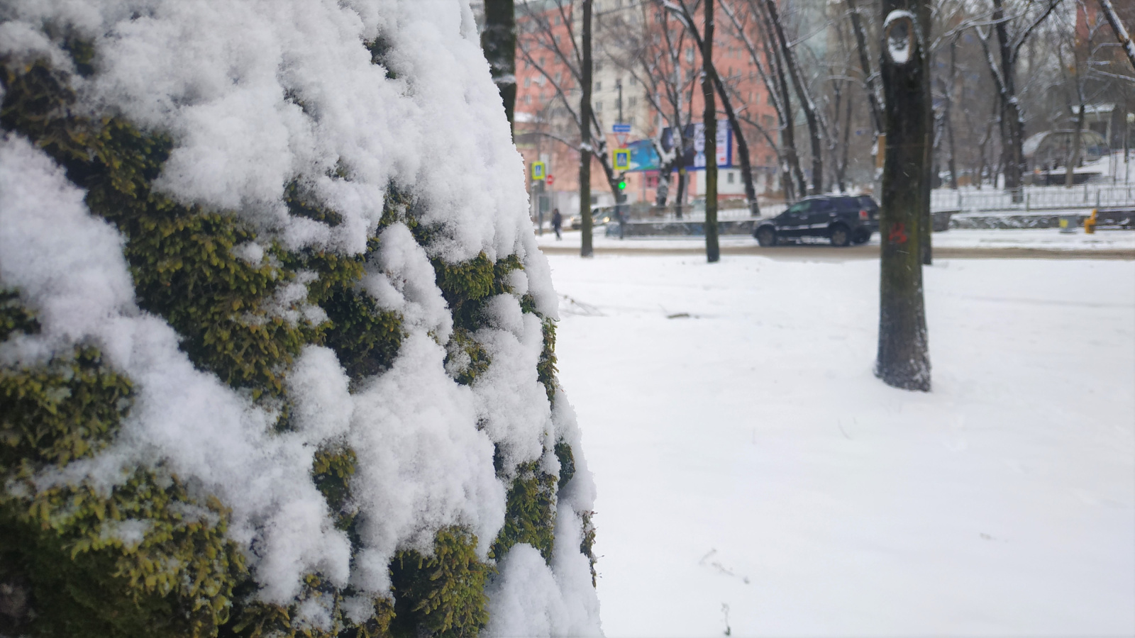 Сильный снег и ветер испортят пятничное настроение жителям Хабаровского края