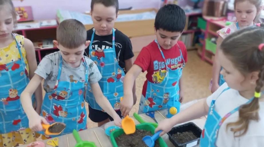 Биологов и математиков начнут готовить в Хабаровском крае с детского сада 