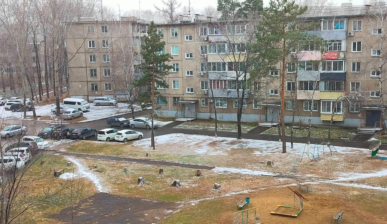 Первый снег пришёл в Хабаровск