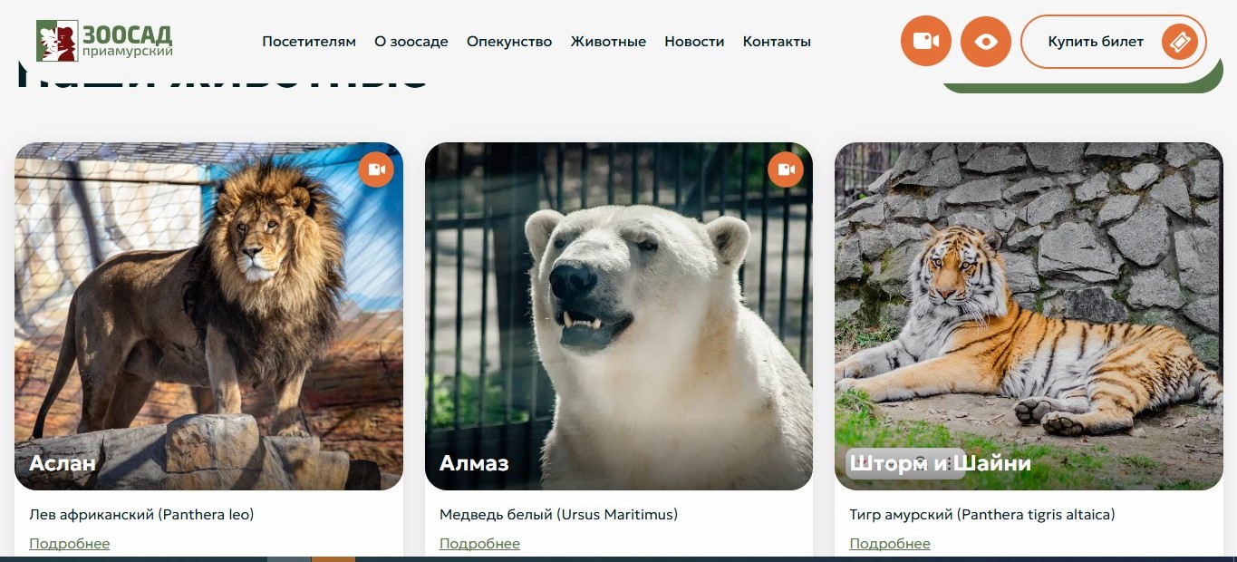 Наблюдать за львом и белым медведем в хабаровском зоосаде теперь можно 24/7