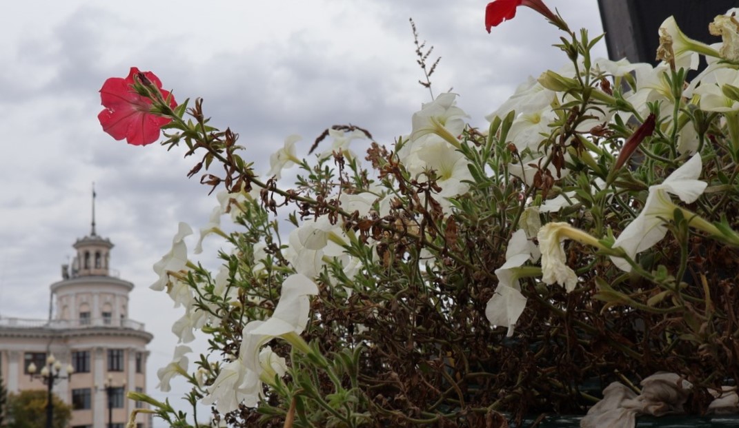 Сентябрь прощается с Хабаровском на тёплой ноте