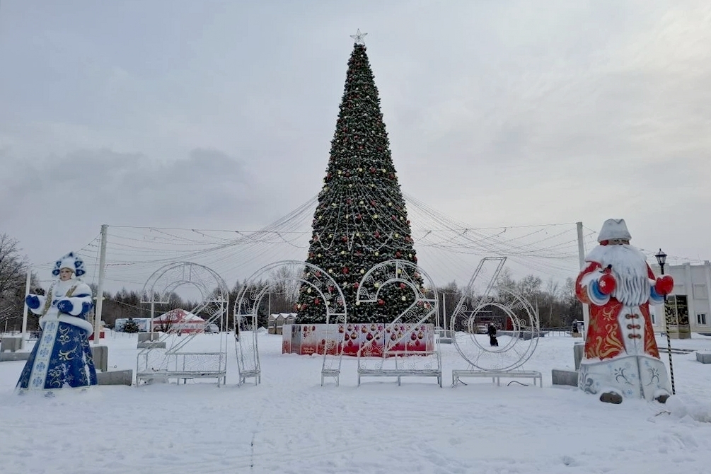 Главную новогоднюю ель Комсомольска-на-Амуре зажгут 26 декабря
