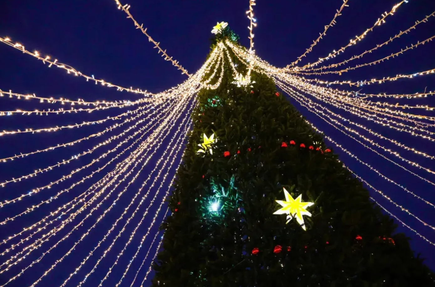 Главная ёлка Хабаровского края засияет огнями в первый день зимы