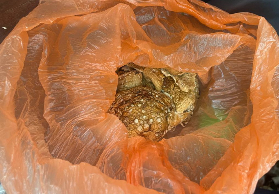 Житель Хабаровска задержан за хранение кокаина, марихуаны и запрещённых грибов